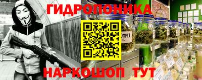 индика Гусь-Хрустальный